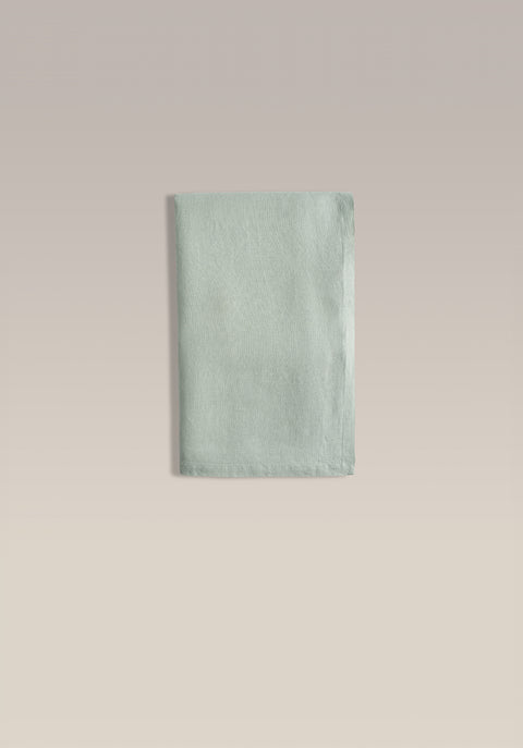 palm