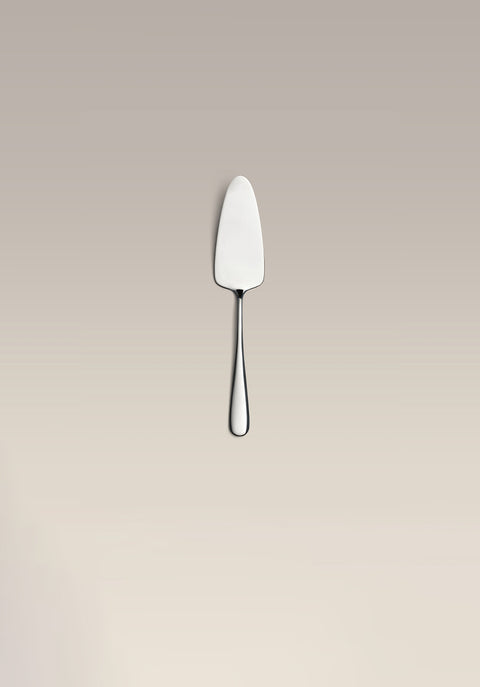 polished-steel