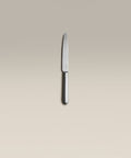 polished-steel