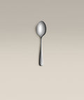 polished-steel