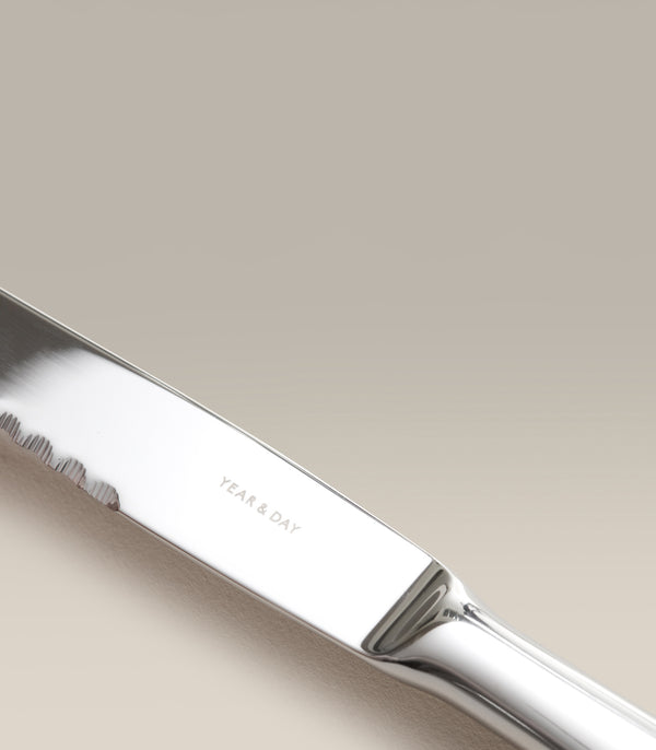 Steak Knives, Matte Steel